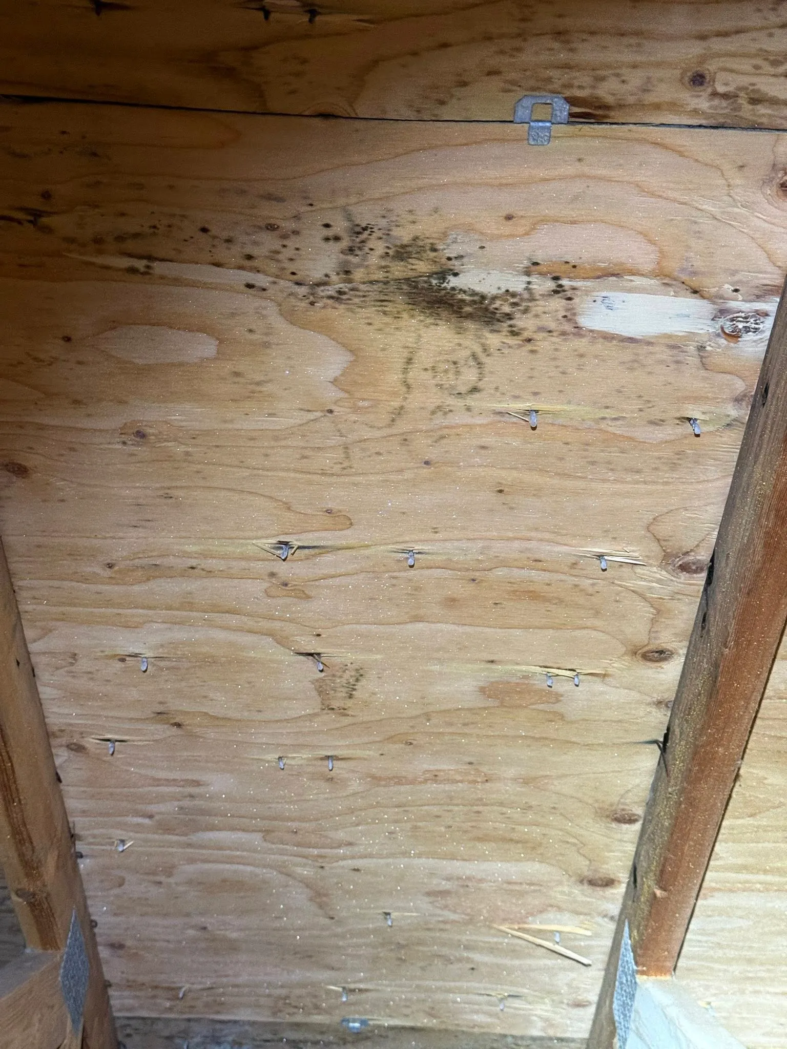Corrugated metal roofing