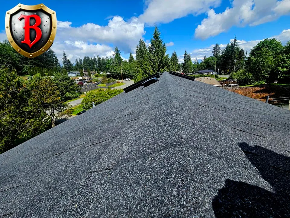 Premium metal roofing system